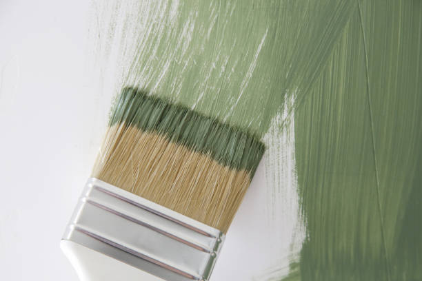 Best Mold Prevention Services  in Pink, OK