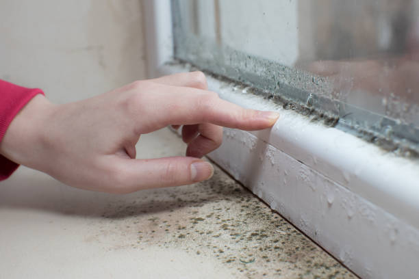 Best HVAC Mold Inspection and Cleaning  in Pink, OK
